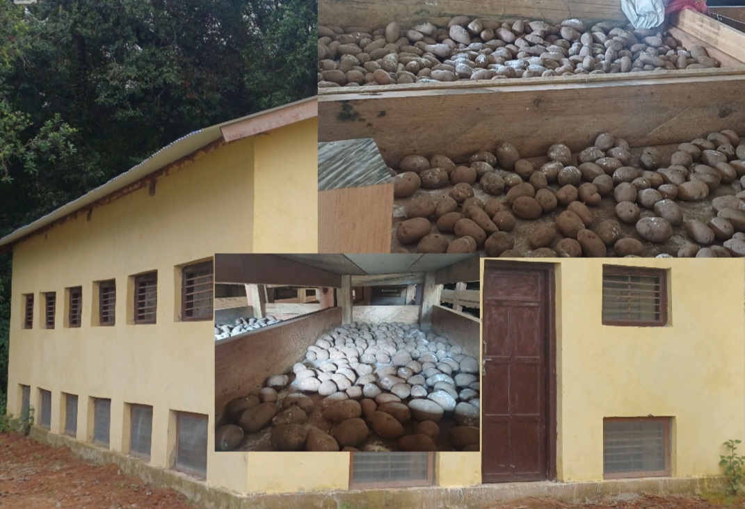 आलिताल -१ मेलखालीमा आलुको वैज्ञानिक भण्डारण, कृषकहरुमा नयाँ आशा