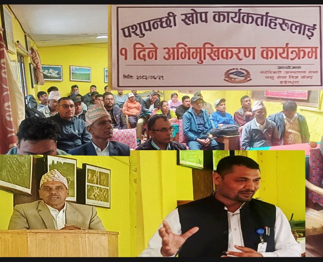 डडेल्धुरामा खोरेत र पिपिआर उन्मूलन अभियान तीव्र: जोखिम क्षेत्रमा जनशक्तिको अभाव चुनौती