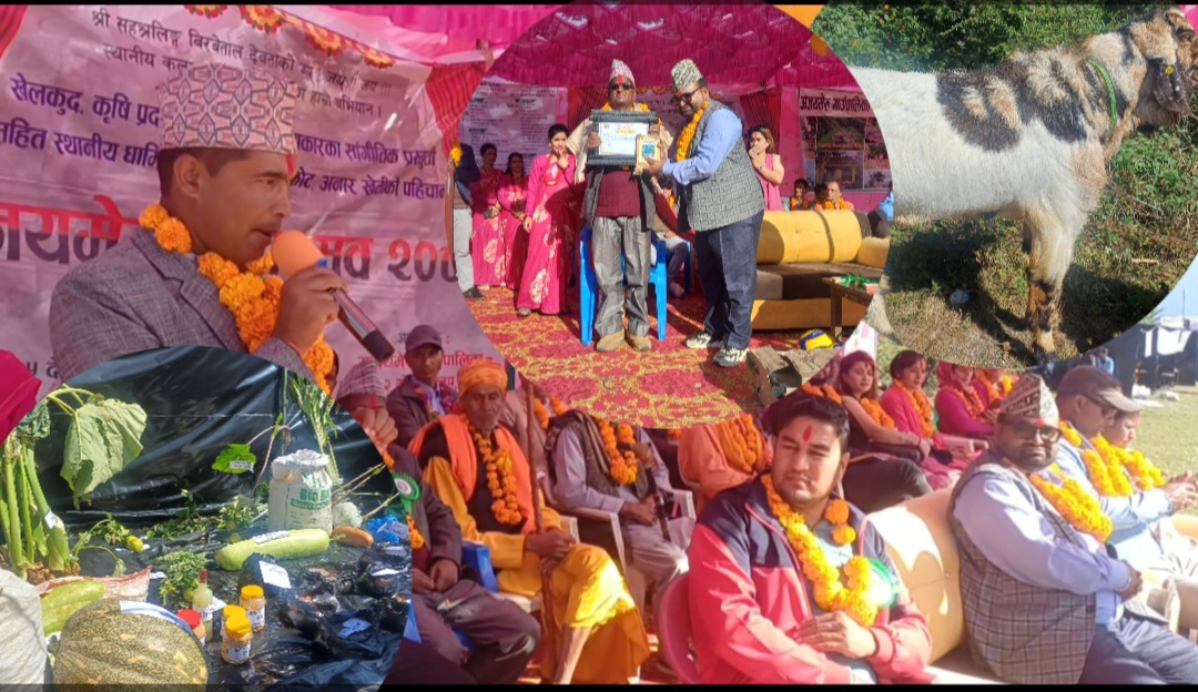 डडेल्धुराको अजयमेरु २ चमडामा सुरु भयो अजयमेरु महोत्सव २०८२’, खेलकुद,स्थानीय कला र कृषि प्रदर्शनी मुख्य आकर्षण