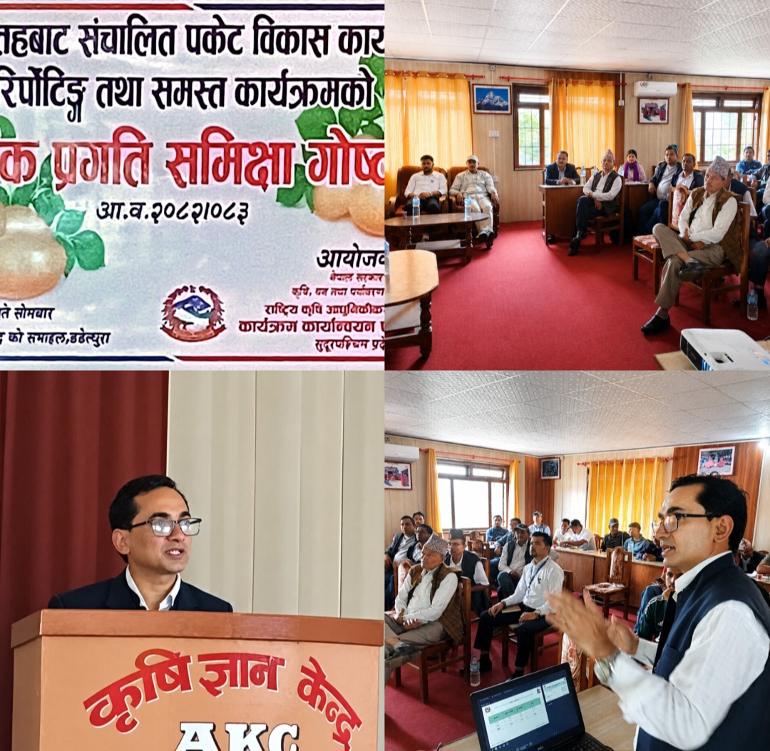 डडेल्धुरामा आलु उत्पादन ३३.५० मेट्रिक टन, राष्ट्रिय औसतभन्दा दोब्बर