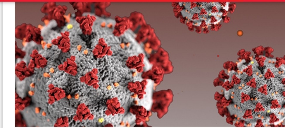 नेपालमा एकैदिन ७७ जनामा संक्रमण पुष्टि
