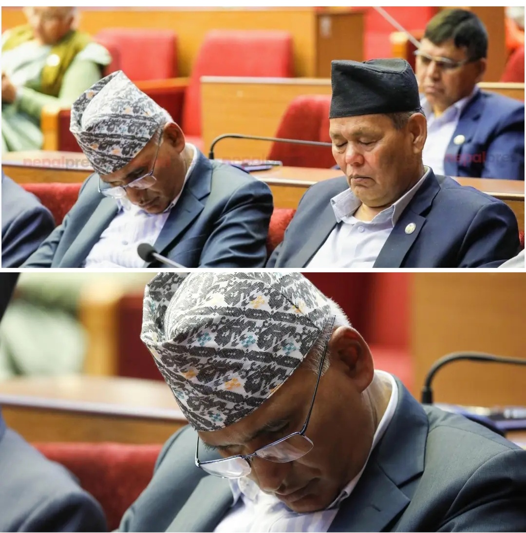 मन्त्रीहरु सुनुवाइ गर्न संसद पुगेका कि निदाउन?