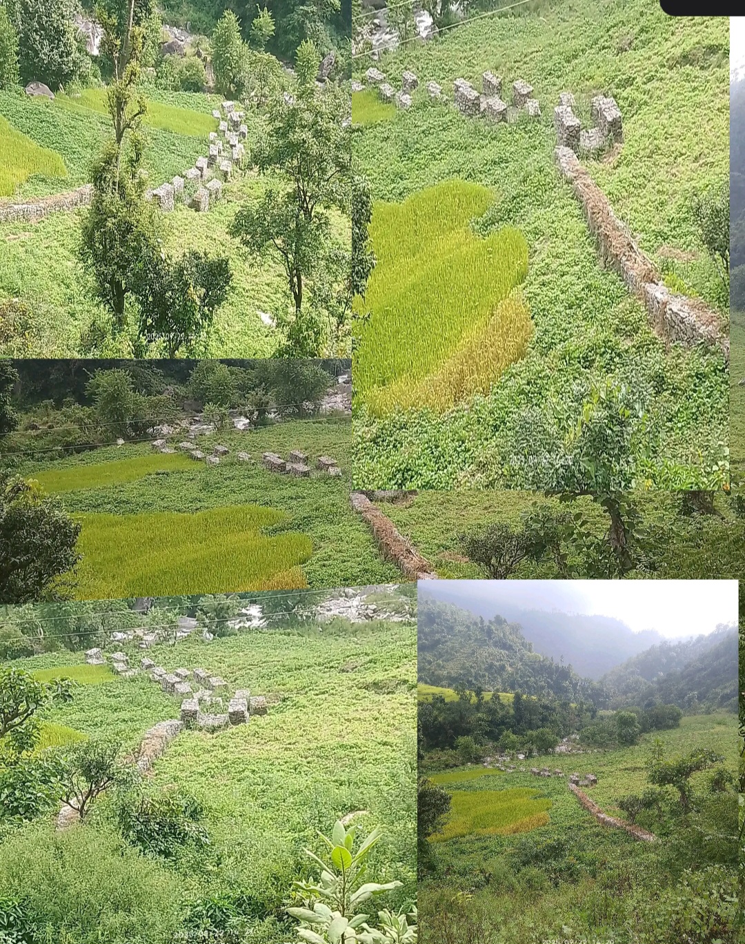 डडेल्धुरा आलितालको बन्तालमा खेतको बीचमा तटबन्ध, १५ लाखको बजेटमा अनियमितता