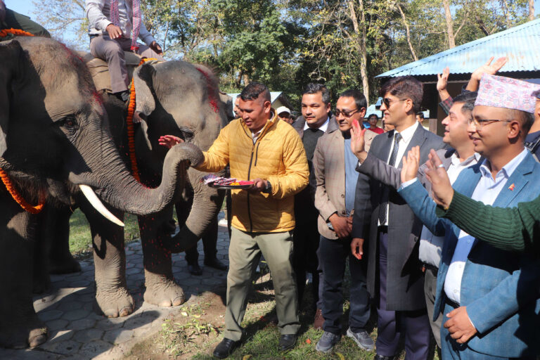 रुद्रकली र खगेन्द्र प्रसाद कतार प्रस्थान, भैरहवामा भावुक बिदाइ