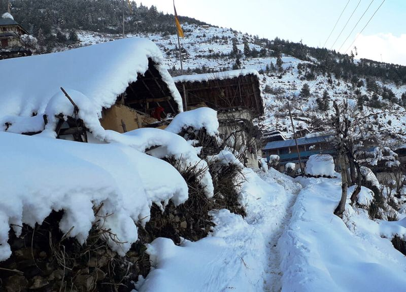 डडेल्धुरा लगायत सुदूर पहाडमा हिमपात