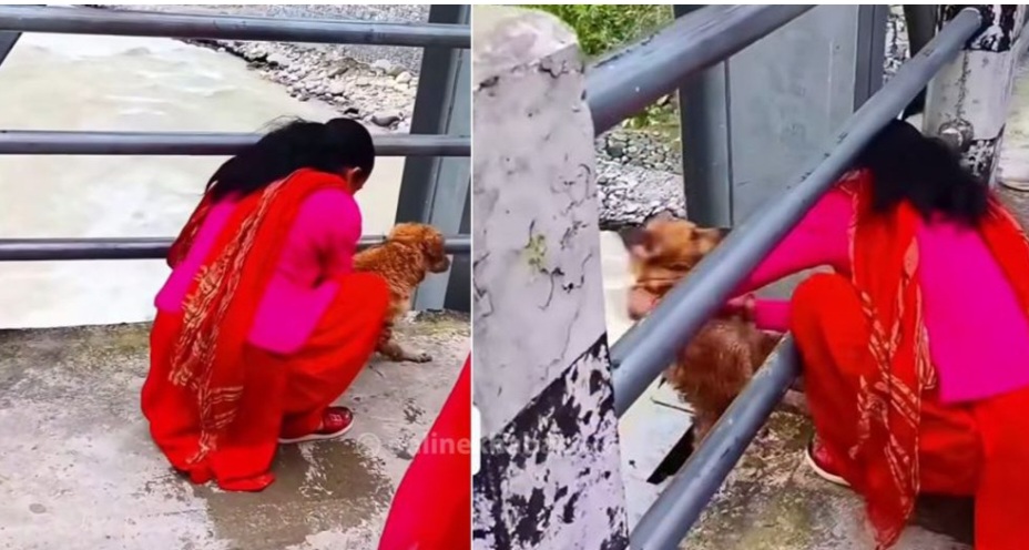 बझाङमा बाढीमा कुकुर फालिएको घटना, संलग्नको खोजीमा प्रहरी