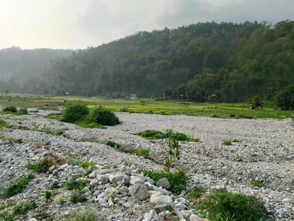 तटबन्धको लागि चिच्याउँदा कोहि सुन्दैनन,धुलिखेलवासी चिन्तित