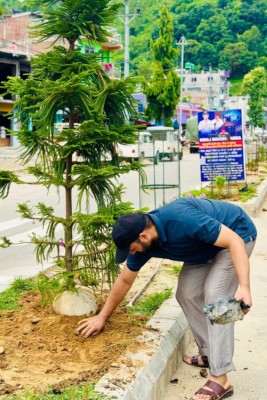 वातावरणीय सन्तुलनका लागि पिपल्लामा सामूहिक वृक्षारोपण