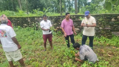 डडेल्धुरा वाइसीएलले गर्‍यो परशुराममा वृक्षारोपण