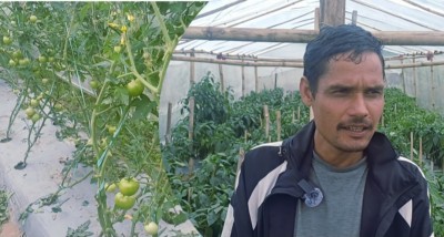 डडेल्धुरा भातकाँडाका युवाको सामूहिक कृषि : स्वदेशमै आत्मनिर्भर