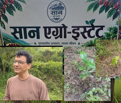 कफी खेतीबाट भविष्य खोज्दै डडेल्धुराका युवा किसान