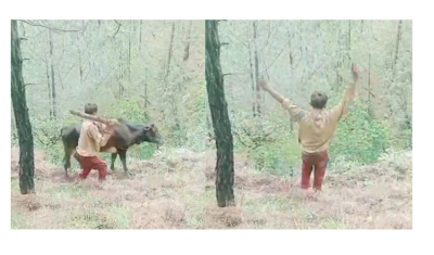बैतडीमा गोरुमाथि कुटपिट गरेर भिरबाट फाल्ने बालक पक्राउ